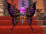 gH.jpg
